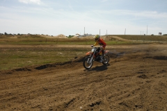 rookie's (15)